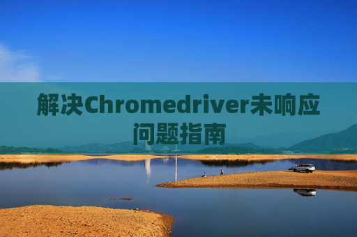 解决Chromedriver未响应问题指南 解决Chromedriver未响应问题指南
